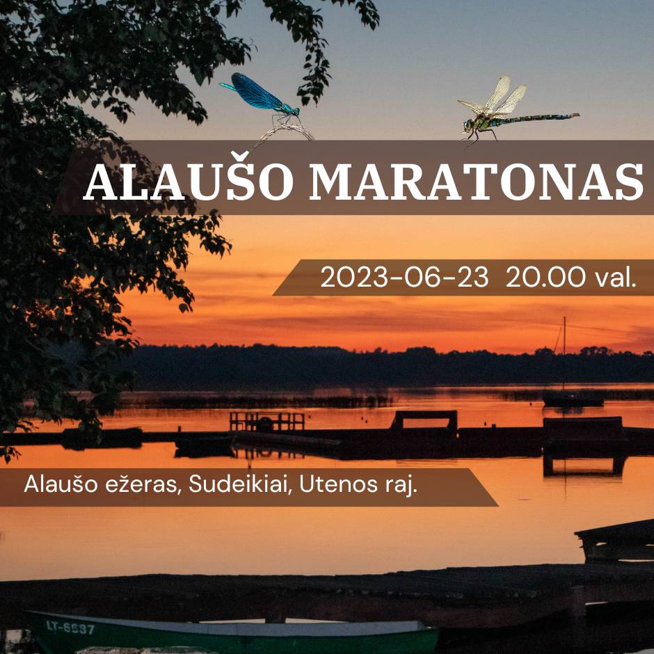 IV Alaušo maratonas
