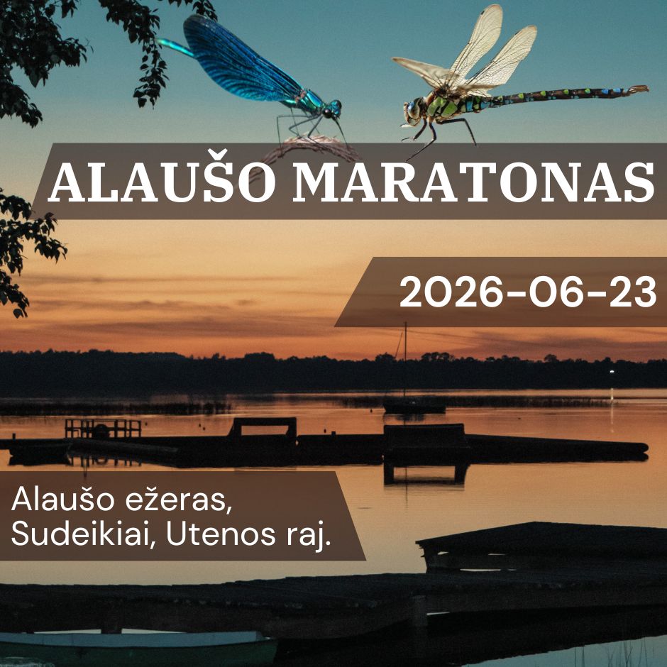 Alaušo maratonas